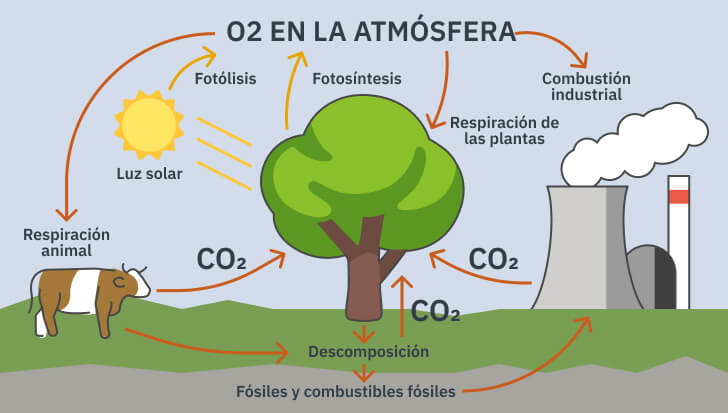 Efecto Invernadero Y Deforestaci N Relaci N Y Causas