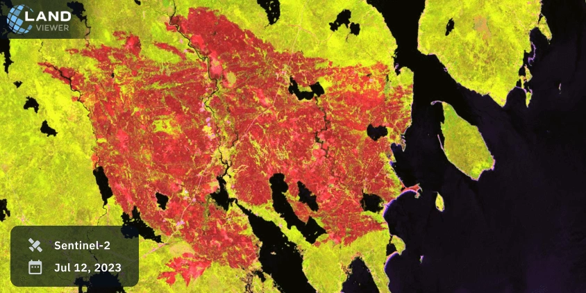 vegetation analysis band combination of Barrington Lake fire