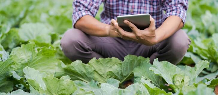 Precision Agriculture Technology, Benefits & Application