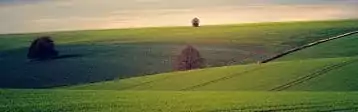 7 Ways To Use EOSDA LandViewer For Better Farm Management