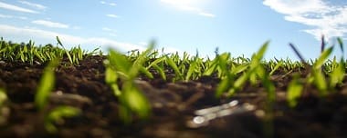 Indices De Végétation Pour L’Agriculture Numérique