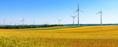 Agriculture Durable : Comment Pratiquer Et Gérer