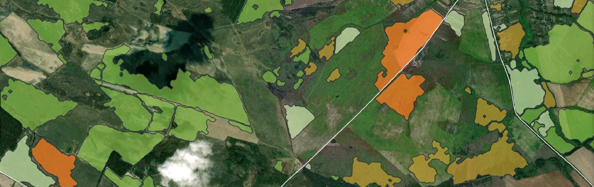 NDVI и Состояние Растительности: Вопросы и Ответы