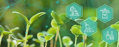 Crop Protection Methods That Boost Farming Productivity