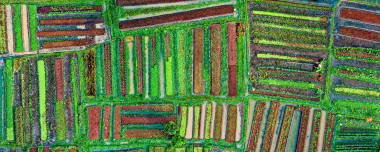 Yield Potential Increase In Each Field Area