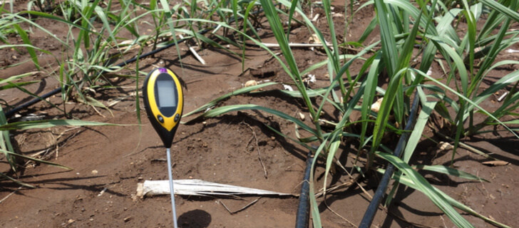 The 5 Best Soil Moisture Meters for Plants in 2023