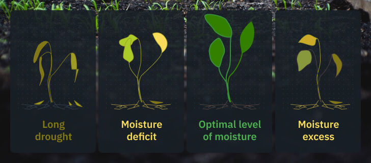 Digital Humidity Meter - Agricare