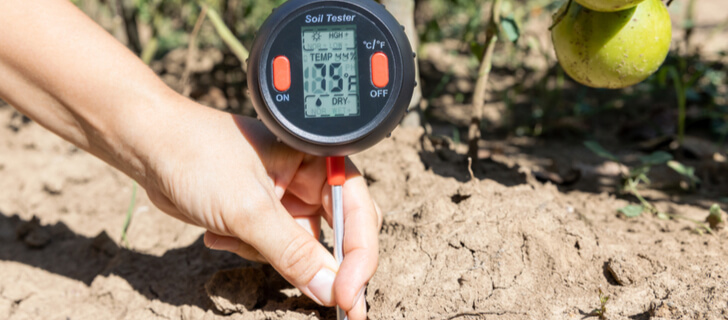 Soil Fertility: How To Measure, Preserve, And Improve - Biogarden.Asia