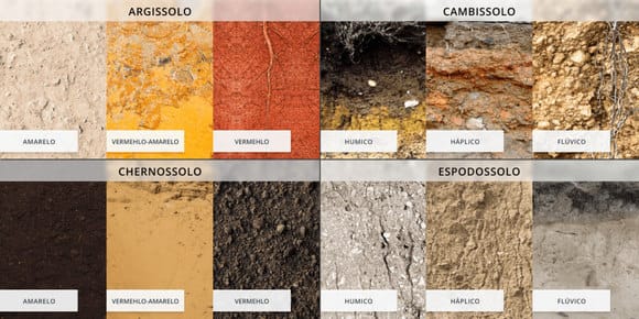 tipos de solo: argissolo, cambissolo, chernossolo, espodossolo