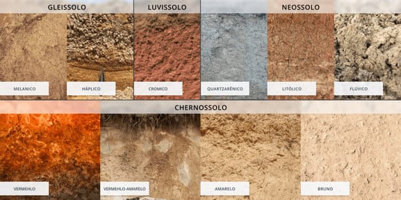 ipos de solo: gleissolo, luvissolo, neossolo, chernossolo