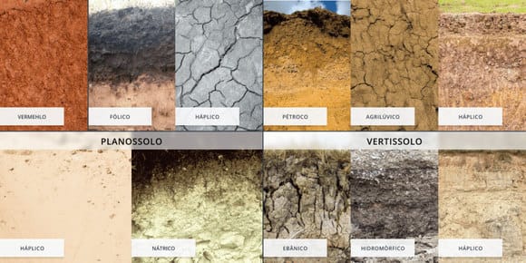 tipos de solo: planossolo, vertissolo
