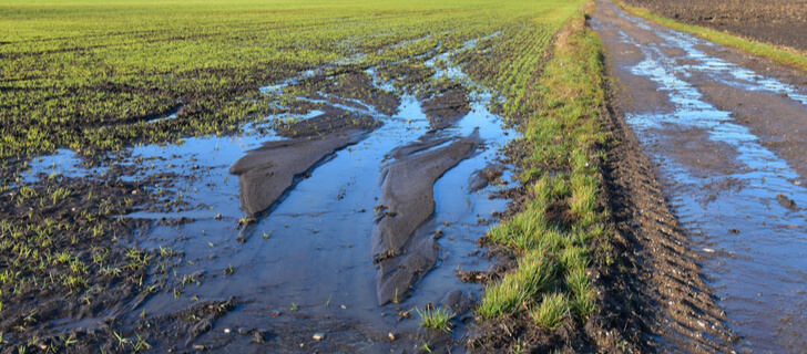 Soil Erosion The Main Types Causes And Control Measures