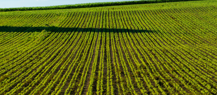 soil erosion prevention techniques