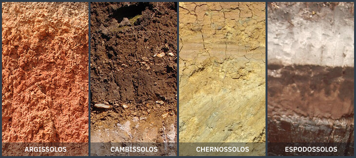 Tipos De Solo Suas Características E Diferenças No Cultivo