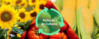 Rotação De Culturas: Objetivo, Técnicas E Vantagens