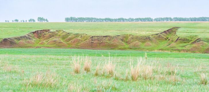 eroded pastures