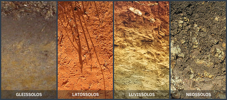 Tipos De Solo Suas Caracter Sticas E Diferen As No Cultivo