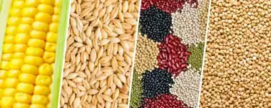 Tipos De Culturas Agrícolas: Maximizando Seu Lucro