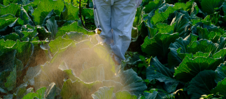 farmer uses IPM chemical method