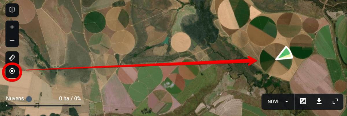 voltar rapidamente ao campo