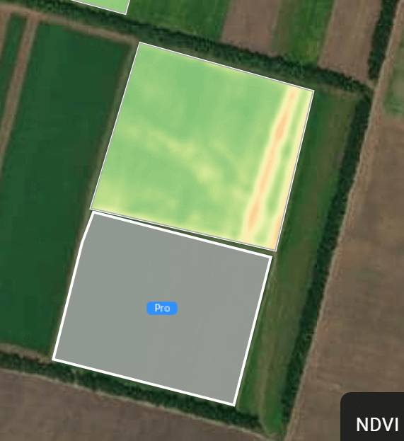 sem camadas para campo livre