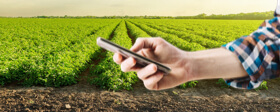 Keep In Touch With Your Crops Via Notifications