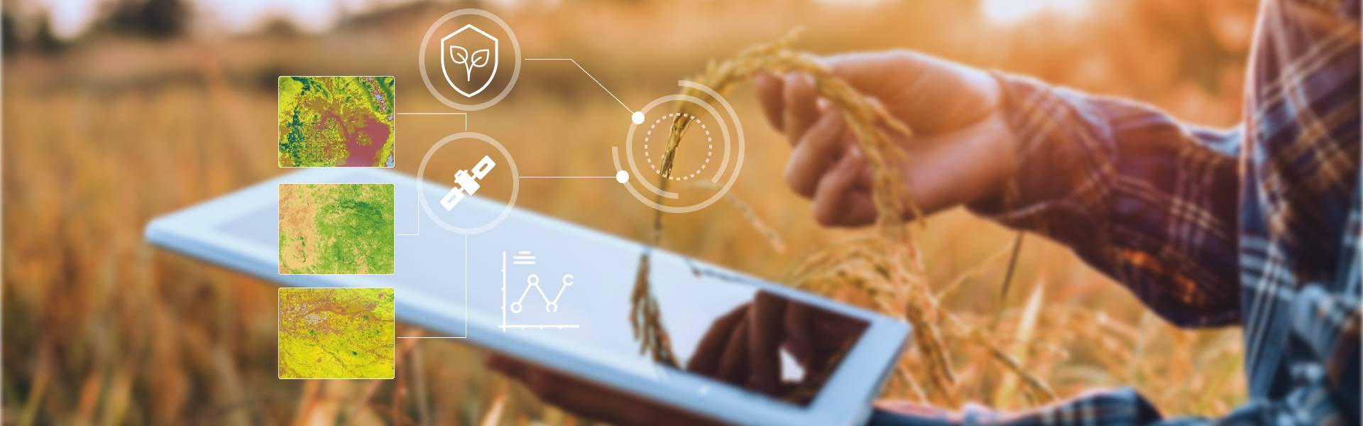 EOSDA Crop Monitoring para seguros de cultivos
