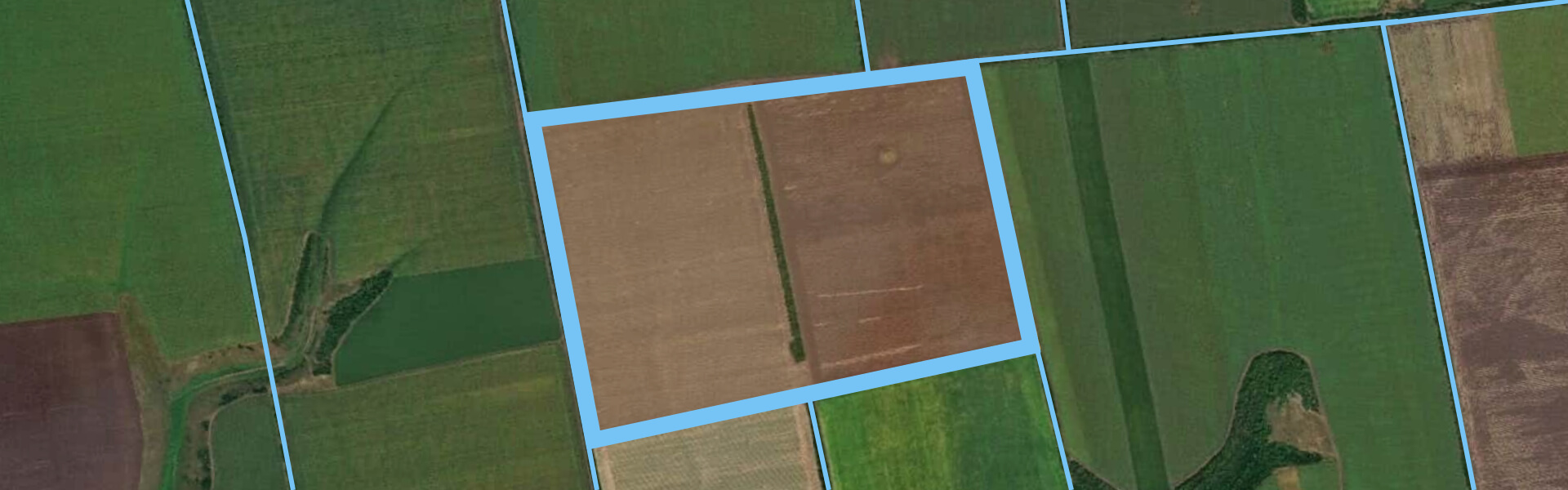 adding and managing field in EOSDA Crop Monitoring app