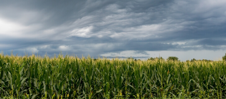 crop-insurance-solutions-powered-by-satellite-technologies