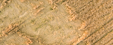 Crop Insurance & Satellite-Based Solutions For Farmers