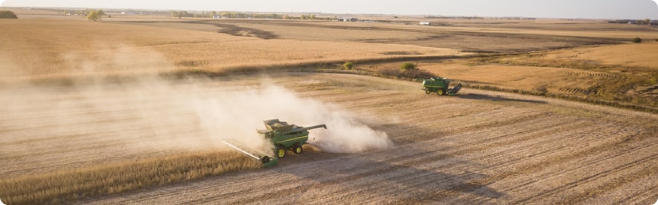 harvesting in the fields
