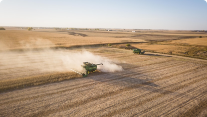 harvesting in the fields
