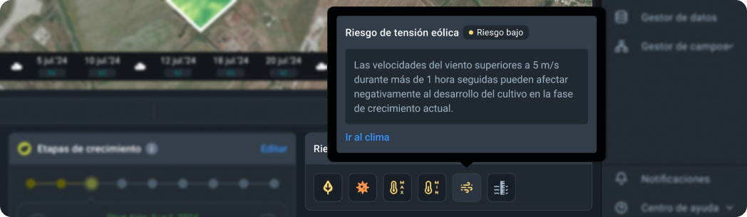 Risco de colheita