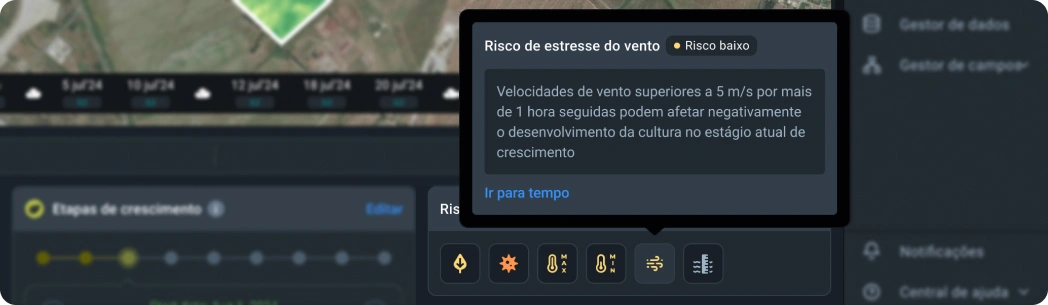 Riesgo de cultivo
