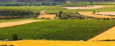 Agricultural Cooperatives: Specifics, Role, Pros & Cons