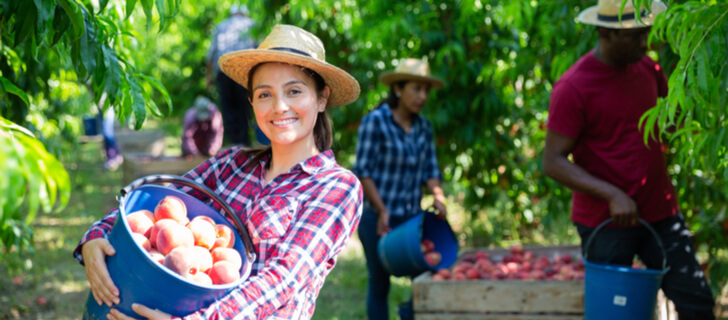Tips for Forming and Managing Successful Agricultural Cooperatives:
