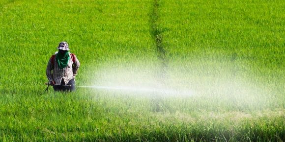 agricultor usando pesticidas en el campo