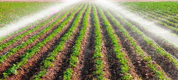 Precision Irrigation: An Up-To-Date Approach In Agriculture