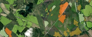 NDVI: Preguntas Frecuentes Y Qué Necesita Saber