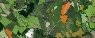 NDVI: Preguntas Frecuentes Y Qué Necesita Saber