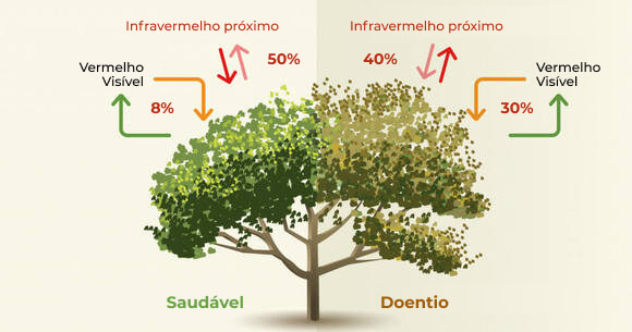 esquema de como o índice NDVI funciona