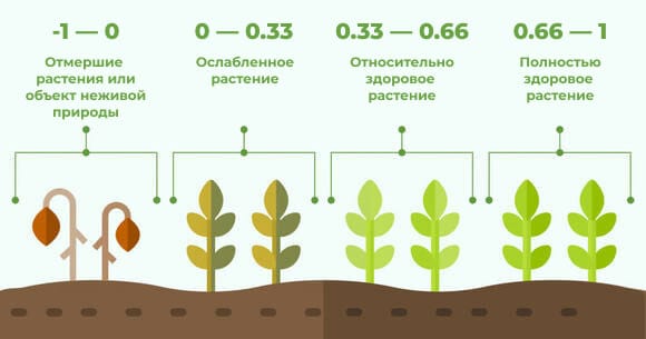 интерпретация значений индекса NDVI