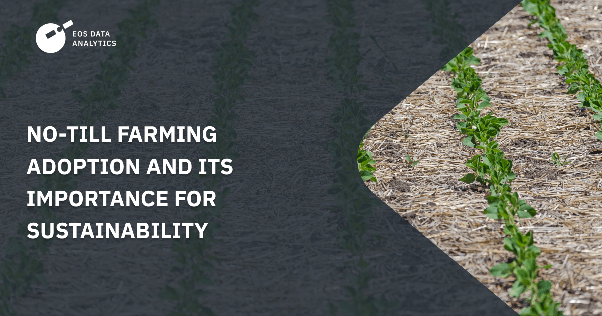 No Till Farming Techniques