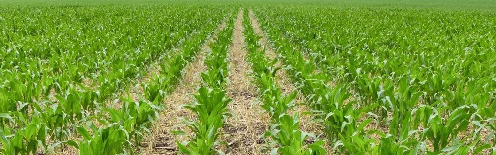 What Is Conventional Tillage System