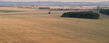 Satellite EOSDA Crop Monitoring As A Tool For Input Suppliers