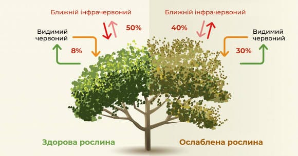 як працює індекс NDVI