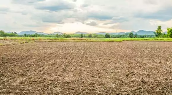 uso del suelo en la agricultura