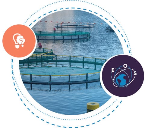 aquaculture