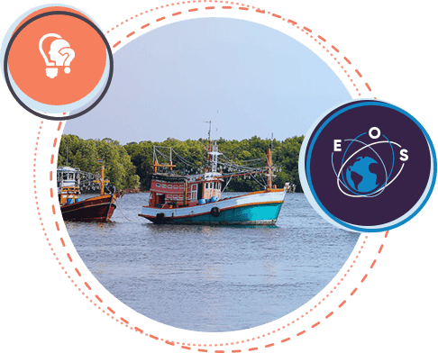 fish stocks