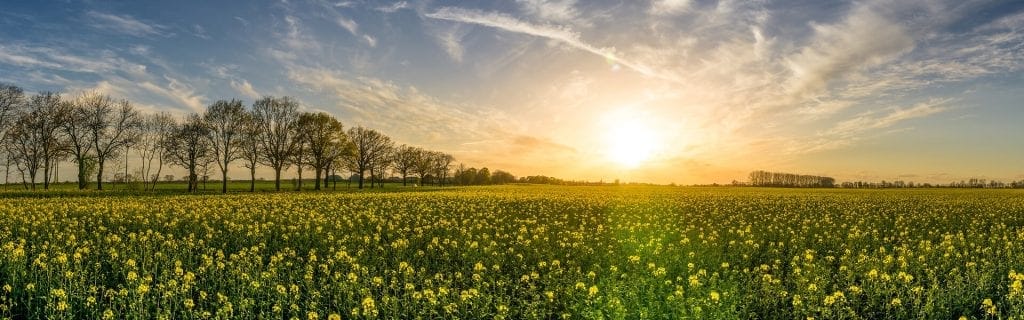 Fish farming business nigeria catfish farms start abuja profit based own fishpond enhle nairametrics umthunywa fish1 Monoculture Farming Explained: What Are The Pros And Cons?